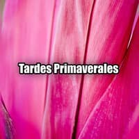 Tardes Primaverales