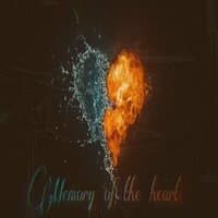 Memory of the Heart