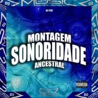 Montagem Sonoridade Ancestral