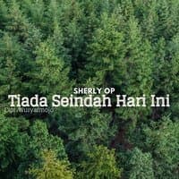 Tiada Seindah Hari Ini