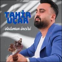 Dalımın İnciri