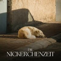 Die Nickerchenzeit