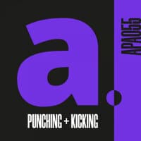 PUNCHING & KICKING