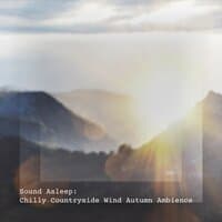 Sound Asleep: Chilly Countryside Wind Autumn Ambience