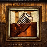 Hennessy & Autotune 2