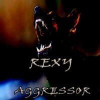 Aggressor