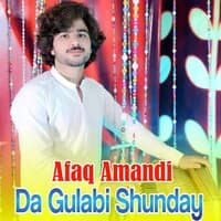 Da Gulabi Shunday