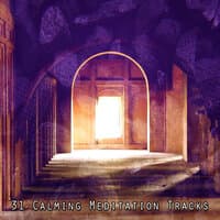 31 Calming Meditation Tracks