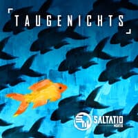 Taugenichts