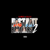 Distant Brothers 2