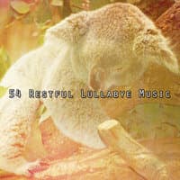 54 Restful Lullabye Music