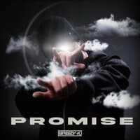 Promise