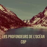 Les Profondeurs De L'océan