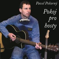 Pokoj pro hosty