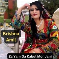 Za Yam Da Kabul Mor Jani