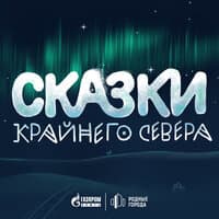 Как собака искала себе друга