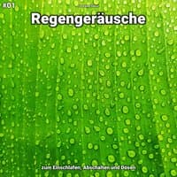 #01 Regengeräusche zum Einschlafen, Abschalten und Dösen