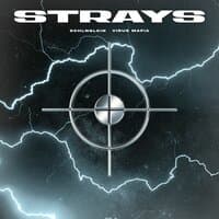 Strays