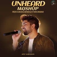 Unheard Mashup (Peer X Bheegi Bheegi X Teri Deewani)