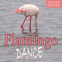 Flamingo Dance