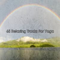 65 Relaxing Tracks For Yoga