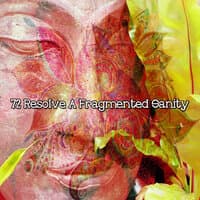 72 Resolve A Fragmented Sanity