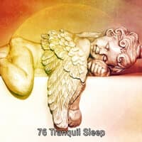 76 Tranquil Sleep