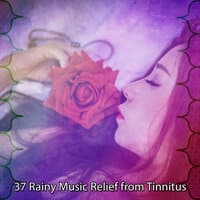 37 Rainy Music Relief from Tinnitus