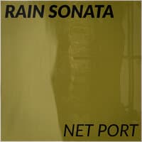 Net Port