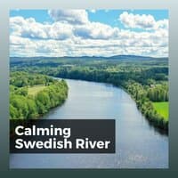 Calming Swedish River