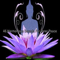 46 Harmonious Sounds For Inner Peace