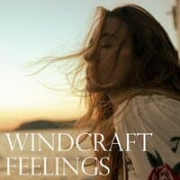 Windcraft Feelings