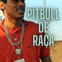 Pitbull de Raça