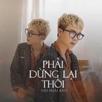 Phải Dừng Lại Thôi - EDM