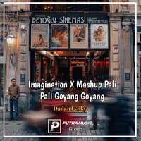 Imagination / Mashup Pali Pali Goyang Goyang