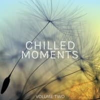 Chilled Moments, Vol. 2