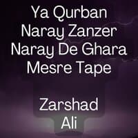 Ya Qurban Naray Zanzer Naray De Ghara Mesre Tape