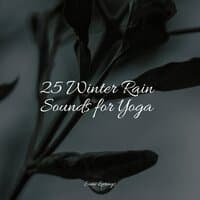 25 Winter Rain Sounds for Yoga