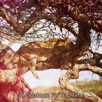 58 Outdoors for Nap Time