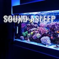 Sound Asleep: Relaxing Fish Tank Noise 2