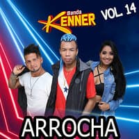 Arrocha Vol. 14