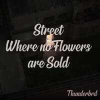 Street Where No Flowers Are Sold