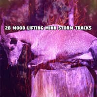 28 Mood Lifting Mind Storm Tracks