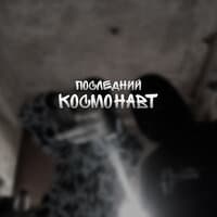 Последний космонавт