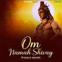 Om Namah Shivay