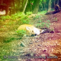 32 Stormy Soul Surrounding Sounds