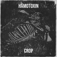 Hämotoxin