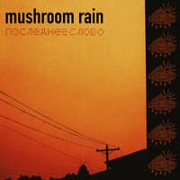 Mushroom rain