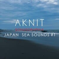 SONUSGRAPHIA / JAPAN SEA SOUNDS  #1(豊橋伊古部海岸の音)