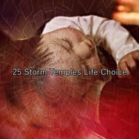 25 Storm Temples Life Choice